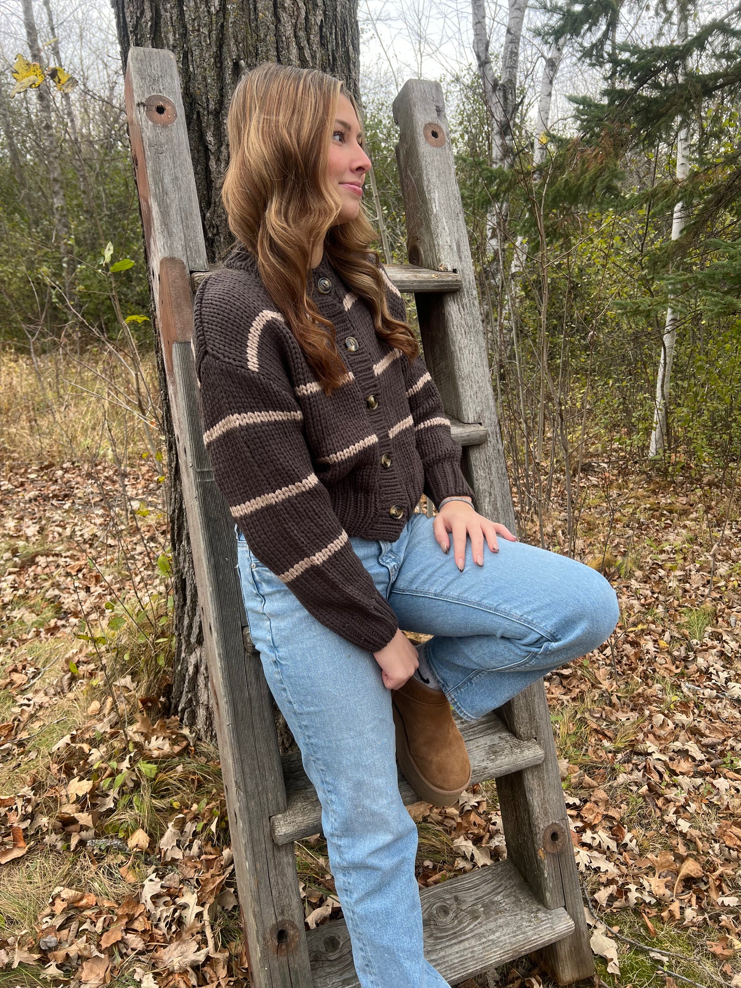 Button Up Striped Sweater