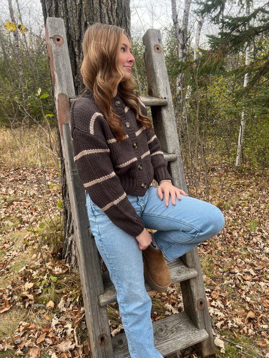 Button Up Striped Sweater
